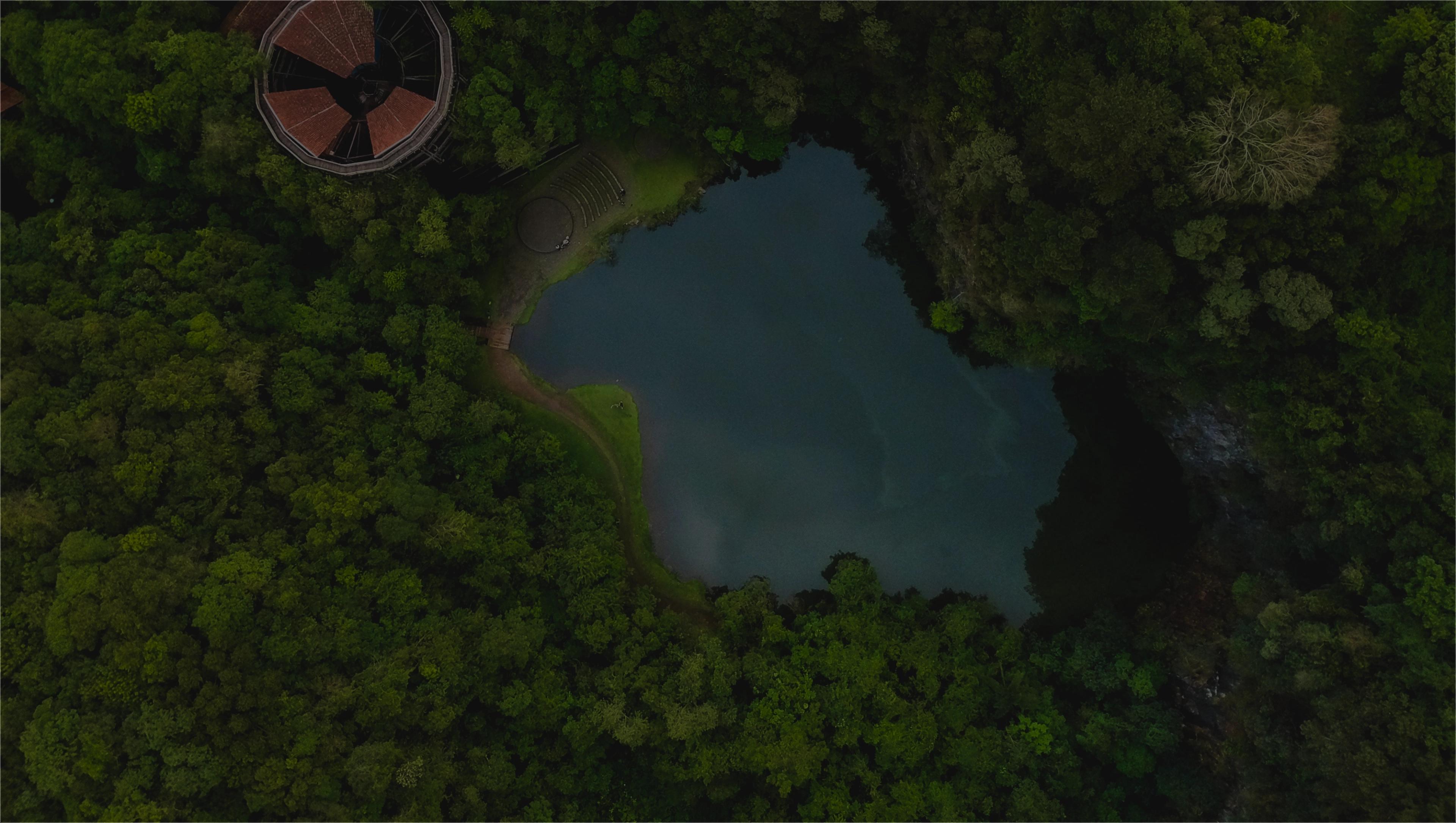 carbonhound-landing-background